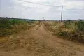 Land 7 250 m² Nea Flogita, Greece