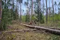 Atterrir  Grabijolai, Lituanie