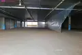 Nieruchomości komercyjne 4 200 m² w Mariampol, Litwa
