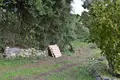 Land 1 room 65 m² Souleika, Greece