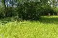 Land  Aliachnovicki sielski Saviet, Belarus