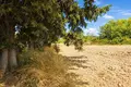 Parcelas 6 000 m² Kassandrino, Grecia