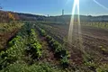 2 bedroom Villa 420 m² Grad Rovinj, Croatia
