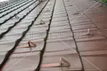 Dom 2 pokoi 135 m² Opcina Barilovic, Chorwacja