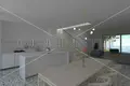 Haus 4 zimmer 240 m² Zdrelac, Kroatien