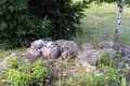 Dom 1 pokój 49 m² Dziescanski sielski Saviet, Białoruś