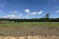 Atterrir 1 355 m² Kazmierz, Pologne