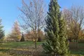 Parcelas 10 024 m² Voivodato de Mazovia, Polonia