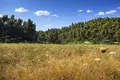 Land 4 500 m² Kassandrino, Greece