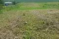 Grundstück  Sienicki sielski Saviet, Belarus