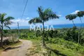 Atterrir  Las Terrenas, République dominicaine