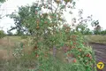 House 40 m² Damasycy, Belarus