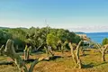 Land 1 room  Kassiopi, Greece