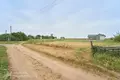 Dom 1 pokój 49 m² Biarozkauski sielski Saviet, Białoruś