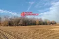 Haus 99 m² Viercialiskauski sielski Saviet, Belarus