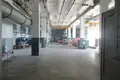 Producción 22 306 m² en Orsha, Belarús