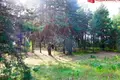 2 bedroom house 48 m² Lunnienski sielski Saviet, Belarus