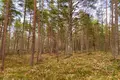 Parcelas 8 600 m² Mersraga pagasts, Letonia