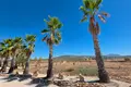 4 bedroom house 405 m² el Pinos Pinoso, Spain