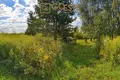 Działki  Smolice, Polska