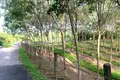 Atterrir  Choeng Thale, Thaïlande