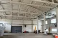 Commercial property 4 000 m² in Deliatyn, Ukraine