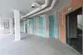 Commercial property 750 m² in Minsk, Belarus