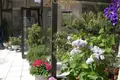 3 room apartment  Smolice, Poland