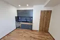 1 bedroom apartment 24 m² okres Ostrava mesto, Czech Republic