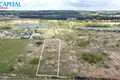 Land  Rykstyne, Lithuania