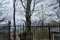 Земельные участки  Тианети, Грузия