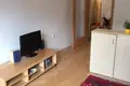 1 bedroom apartment 31 m² Capital City of Prague, Czech Republic