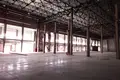 Entrepôt 7 250 m² à Novoselki, Russie