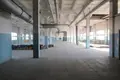 Manufacture 22 306 m² in Orsha, Belarus