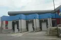 Warehouse 2 390 m² in Nisou, Cyprus