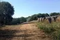 Parcelas  Polemi, Chipre