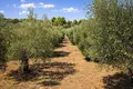 Atterrir 16 728 m² Neos Marmaras, Grèce