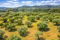 Land 9 312 m² Neos Marmaras, Greece