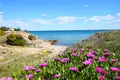 2 bedroom apartment 67 m² La Mata, Spain