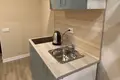 Mieszkanie 24 m² Petersburg, Rosja