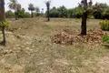 Grundstück 18 200 m² Brufut, Gambia