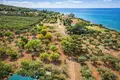 Land 14 000 m² Kassandrino, Greece