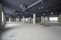 Büro 10 zimmer 100 m² in Zdanovicki sielski Saviet, Belarus