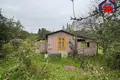 House 29 m² Aliachnovicki sielski Saviet, Belarus