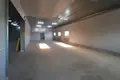 Коммерческое помещение 739 м² Горанский сельский Совет, Беларусь