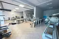 4 bedroom house 340 m² Grad Kastav, Croatia