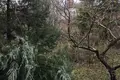 Dom 7 pokojów 470 m² Odessa, Ukraina