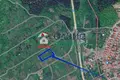 Gewerbefläche 1 934 m² Zarewo, Bulgarien