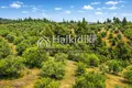 Parcelas 9 312 m² Agios Nikolaos, Grecia
