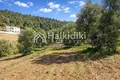 Земельные участки 4 316 м² Municipality of Sithonia, Греция